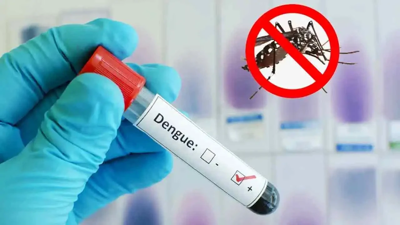ডেঙ্গুতে একদিনে পাঁচজনের মৃত্যু