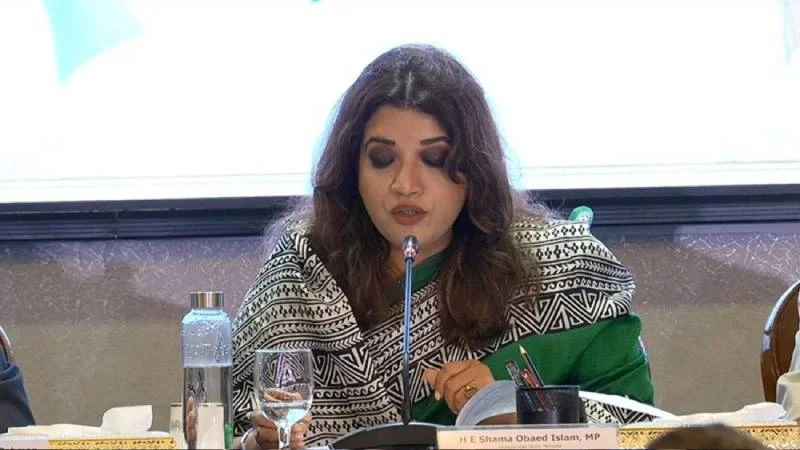 সার্কের সংকট কেবল রাজনৈতিক নয়, প্রাতিষ্ঠানিকও: শামা ওবায়েদ