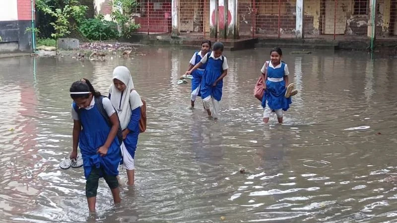 চৌদ্দগ্রামে পদুয়া খামার পুষ্করুণী প্রাথমিক বিদ্যালয় মাঠে জলাবদ্ধতা: কোমলমতি শিক্ষার্থীদের চরম দুর্ভোগ