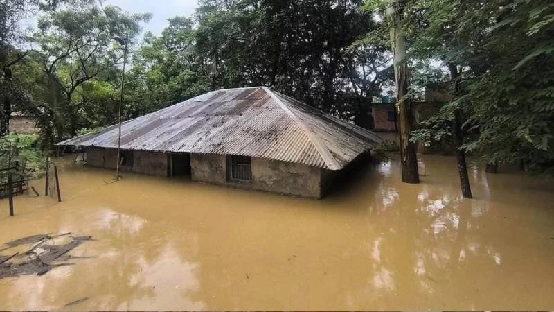 অতিবৃষ্টি ও পাহাড়ি ঢলে ৭ জেলায় বন্যা, প্রাণহানি বেড়ে ৪৪
