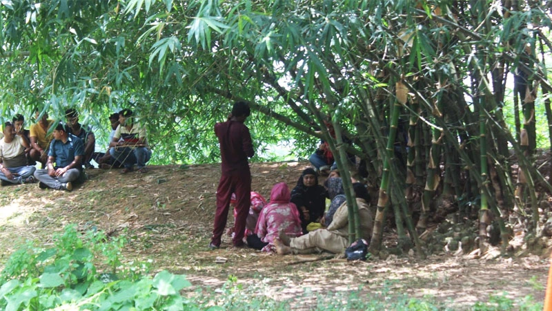 বিরামপুর সীমান্তে ৯ নারীকে পুশ-ইনের চেষ্টা, বিজিবির বাধায় ব্যর্থ