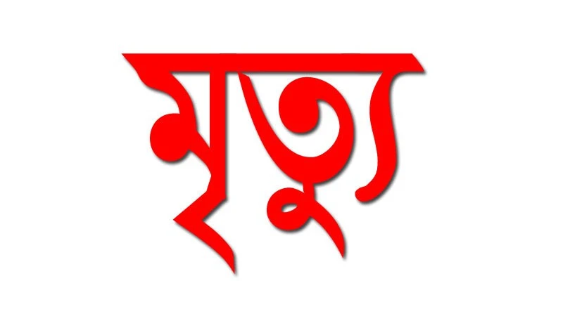 গাজীপুরে নিয়ন্ত্রণ হারিয়ে বৈদ্যুৎতিক খুটির  সঙ্গে ট্রাকের ধাক্কা, যুবকের মৃত্যু