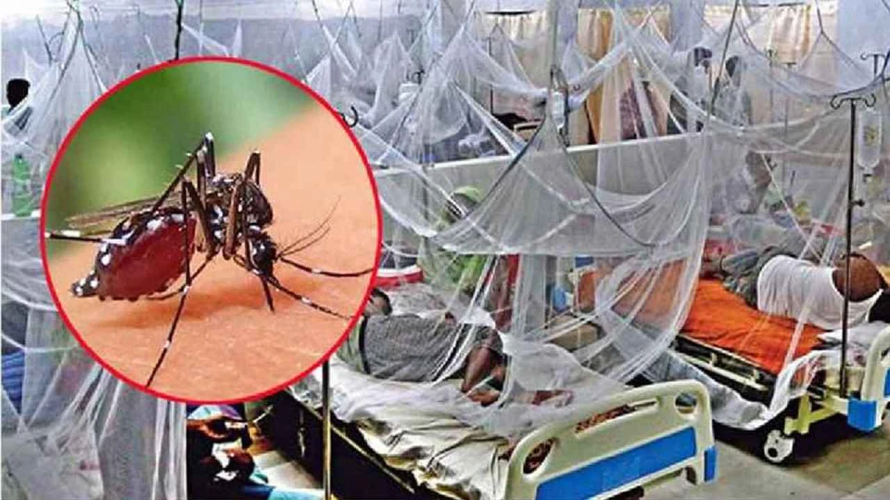 ডেঙ্গুতে একদিনে ২ জনের প্রাণহানি