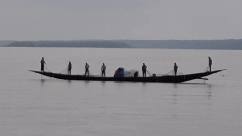 ইলিশ মাছ ধরতেও বিএনপির নেতাকে দিতে হবে চাঁদা