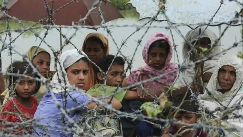 ৩ লাখ ৯ হাজার রোহিঙ্গা ফেরত নিতে রাজি মিয়ানমার