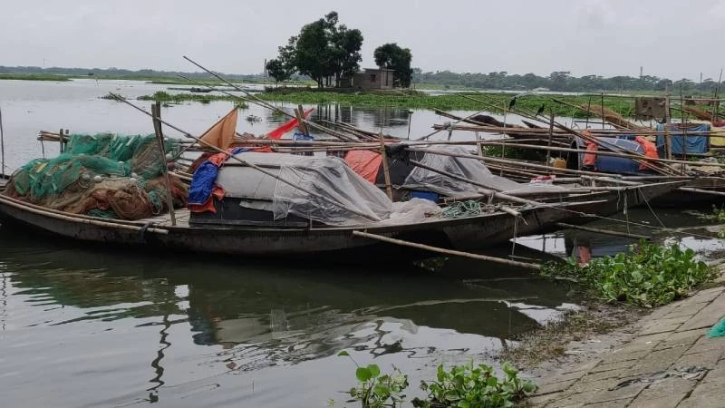 পদ্মা-মেঘনায় মাছ শিকারে নিষেধাজ্ঞা