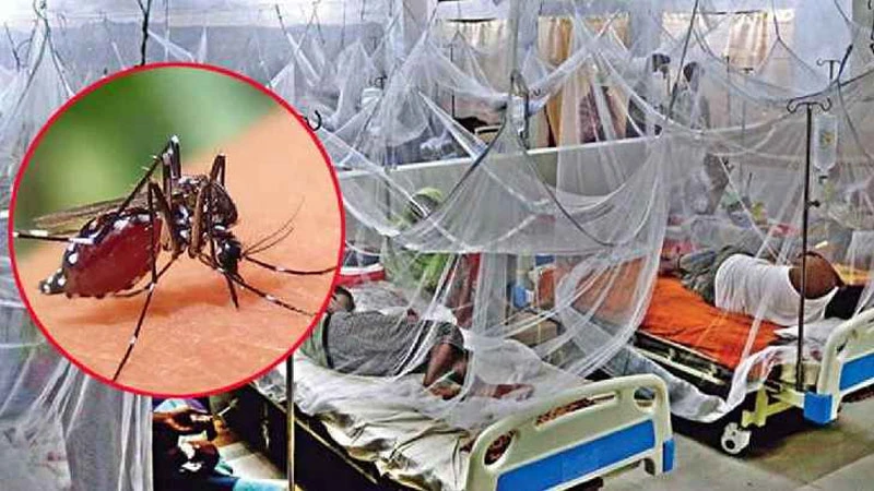 ডেঙ্গুর ছোবলে মৃত্যু ৩০০ ছাড়াল
