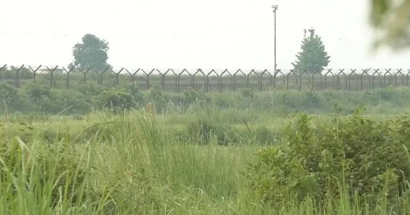 নওগাঁ সীমান্তে ৯ জনকে পুশইনের চেষ্টা বিএসএফের