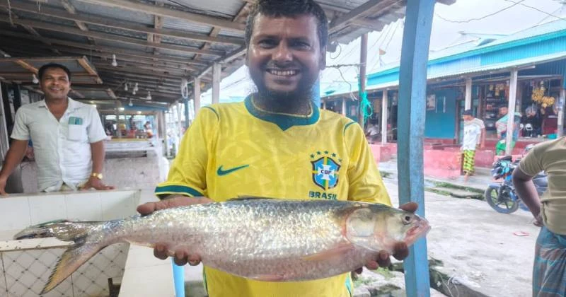 ভোলার মনপুরায় সপ্তাহের ব্যবধানে ধরা পড়ল আড়াই কেজির 'রাজা ইলিশ', বিক্রি হলো ৯৩০০ টাকায়