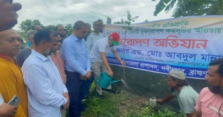 নবীনগরে বৃক্ষরোপণ কর্মসূচির উদ্বোধন করলেন এম পি আব্দুল মান্নান