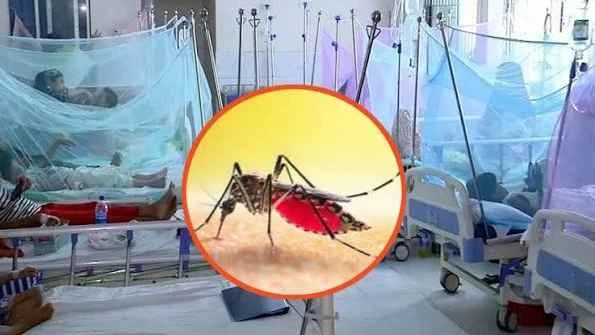 ডেঙ্গুতে আরও ৩ জনের মৃত্যু