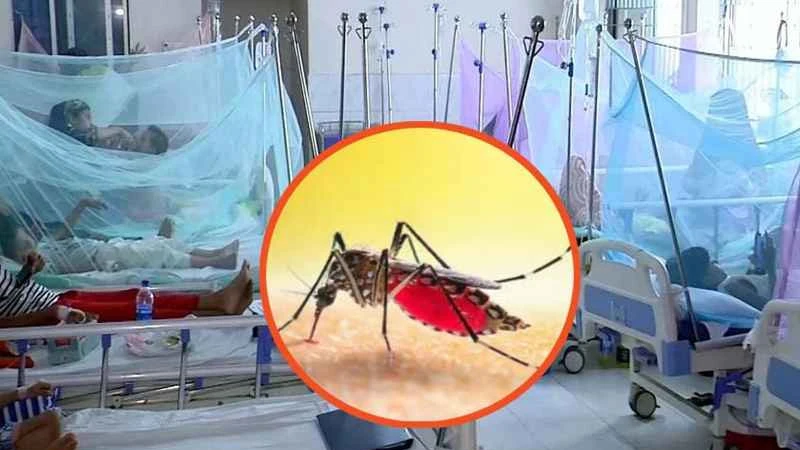 ডেঙ্গুতে একদিনে প্রাণ গেল ৩ জনের