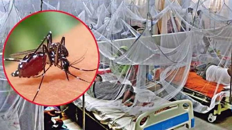 ডেঙ্গুতে আরও ৮ জনের মৃত্যু, আক্রান্ত ১৭৮২