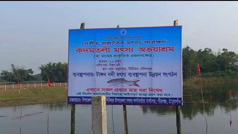 কদমতলী মৎস্য অভয়াশ্রমে পানি ও খাদ্য সংকট হুমকির মুখে দেশীয় প্রজাতির হাজার হাজার মা মাছ