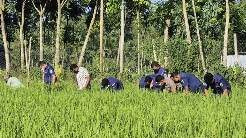 সোনাতলায় নিখোঁজের চার দিন পর শিশুর মরদেহ উদ্ধার, মাথা ও হাত-পায়ের অংশ নেই