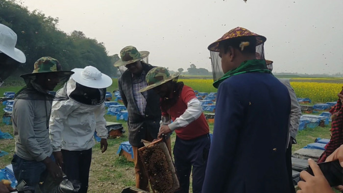 কুমারখালীতে জেলা প্রশাসকের মধু সংগ্রহ কার্যক্রম পরিদর্শন