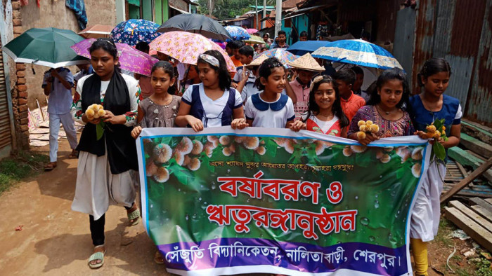 শেরপুরের নালিতাবাড়ীর পাহাড়ি জনপদে প্রাণের ঋতু বর্ষাকে বরণ